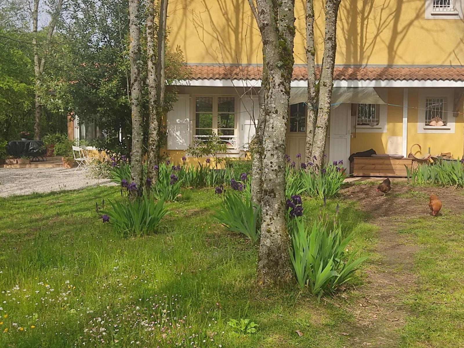 Saint-Cyr-sur-le-RhoneLa Frenaie住宿加早餐旅馆 外观 照片