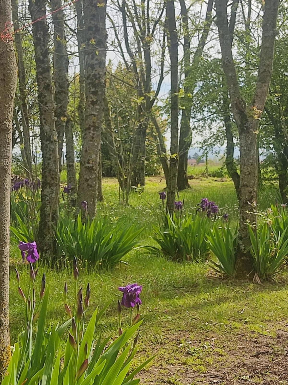 Saint-Cyr-sur-le-RhoneLa Frenaie住宿加早餐旅馆 外观 照片